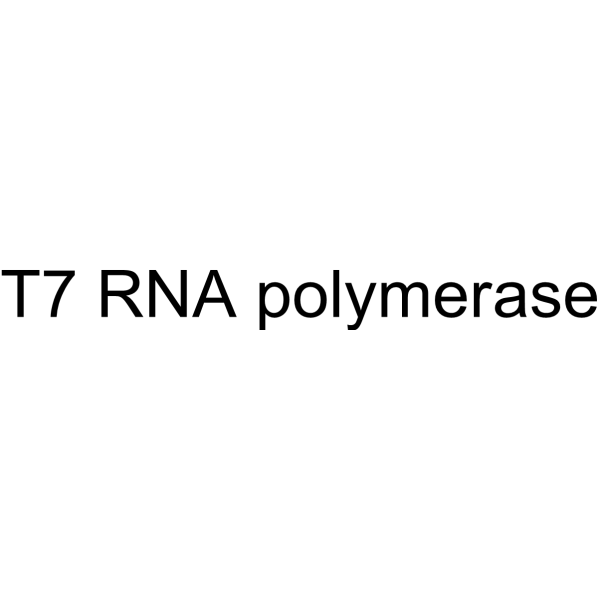 T7 RNA polymerase 9014-24-8